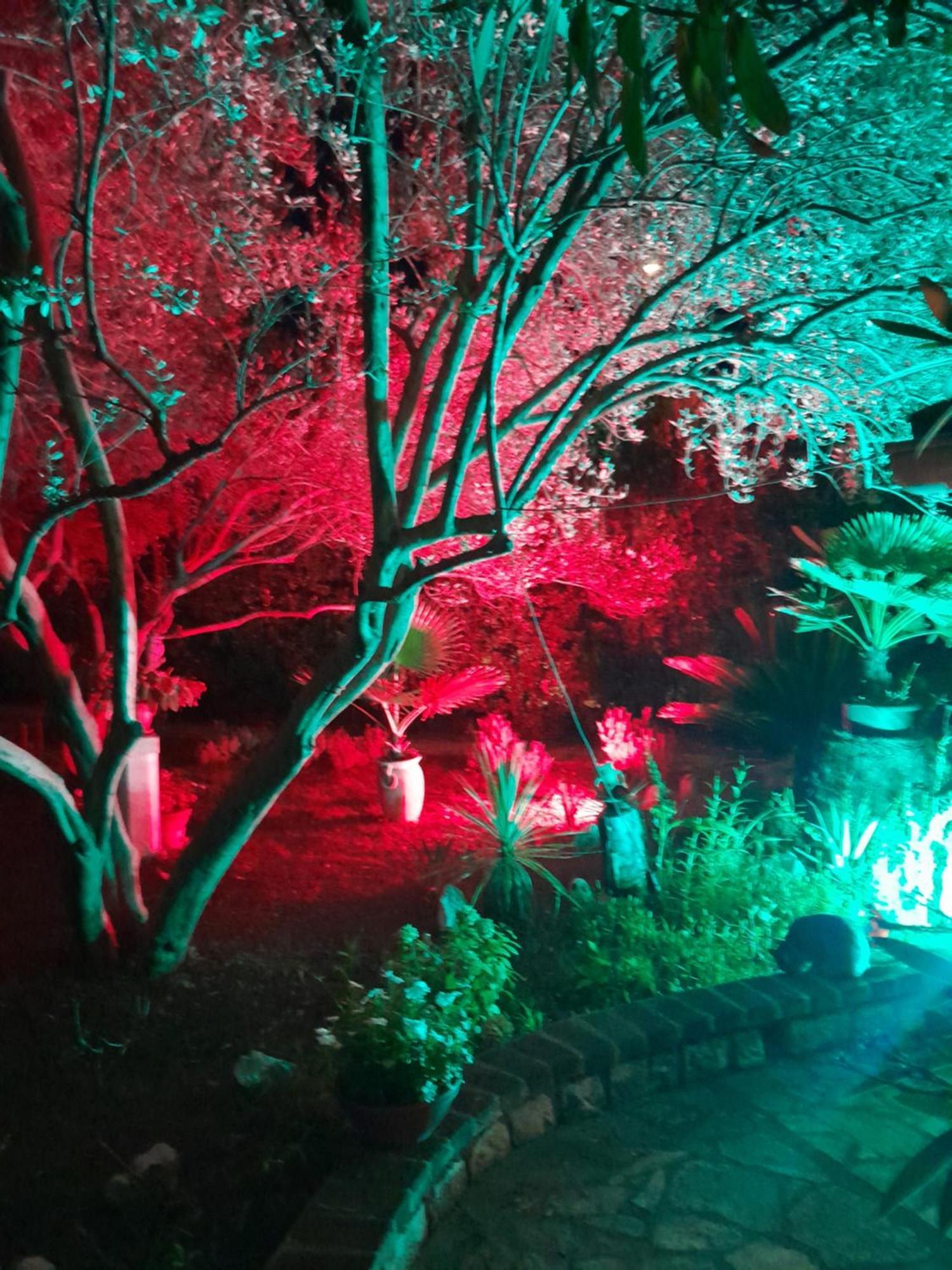 ראב Apartments Rozic מראה חיצוני תמונה